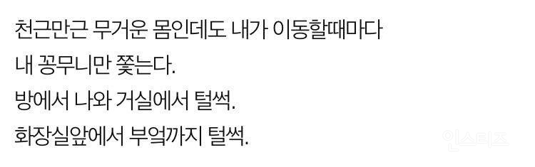 나는 개 키우는걸 후회한다 (판) | 인스티즈