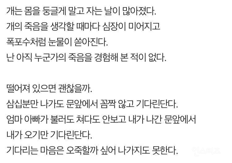 나는 개 키우는걸 후회한다 (판) | 인스티즈