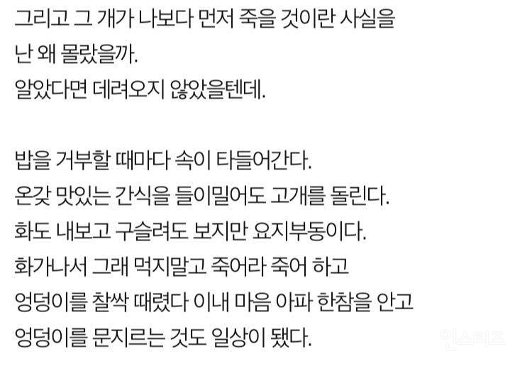 나는 개 키우는걸 후회한다 (판) | 인스티즈