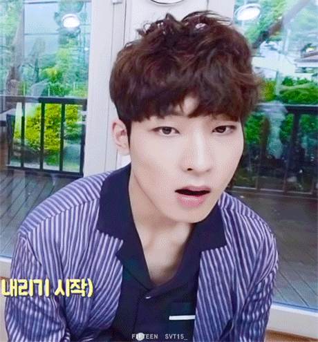 [세븐틴/권순영] 반인반수 닭=대환장파티 04 | 인스티즈