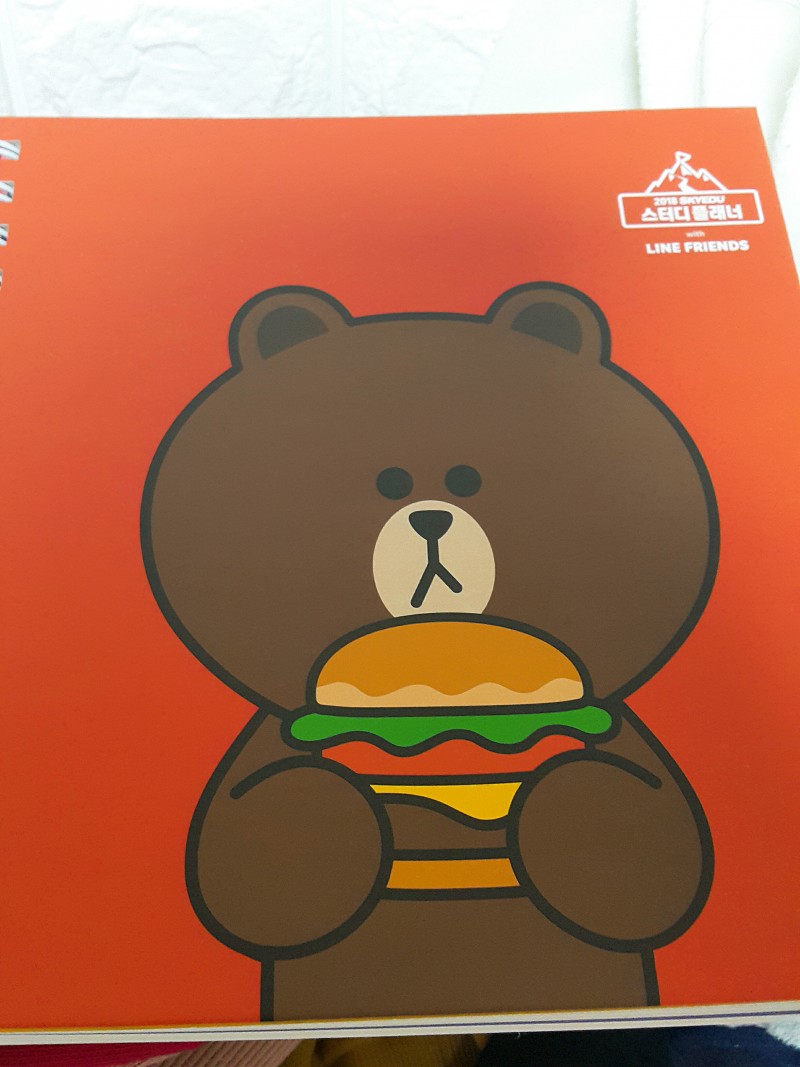 스카이에듀스듀) 스터디플래너 라인 레드 팝니다!!! | 인스티즈