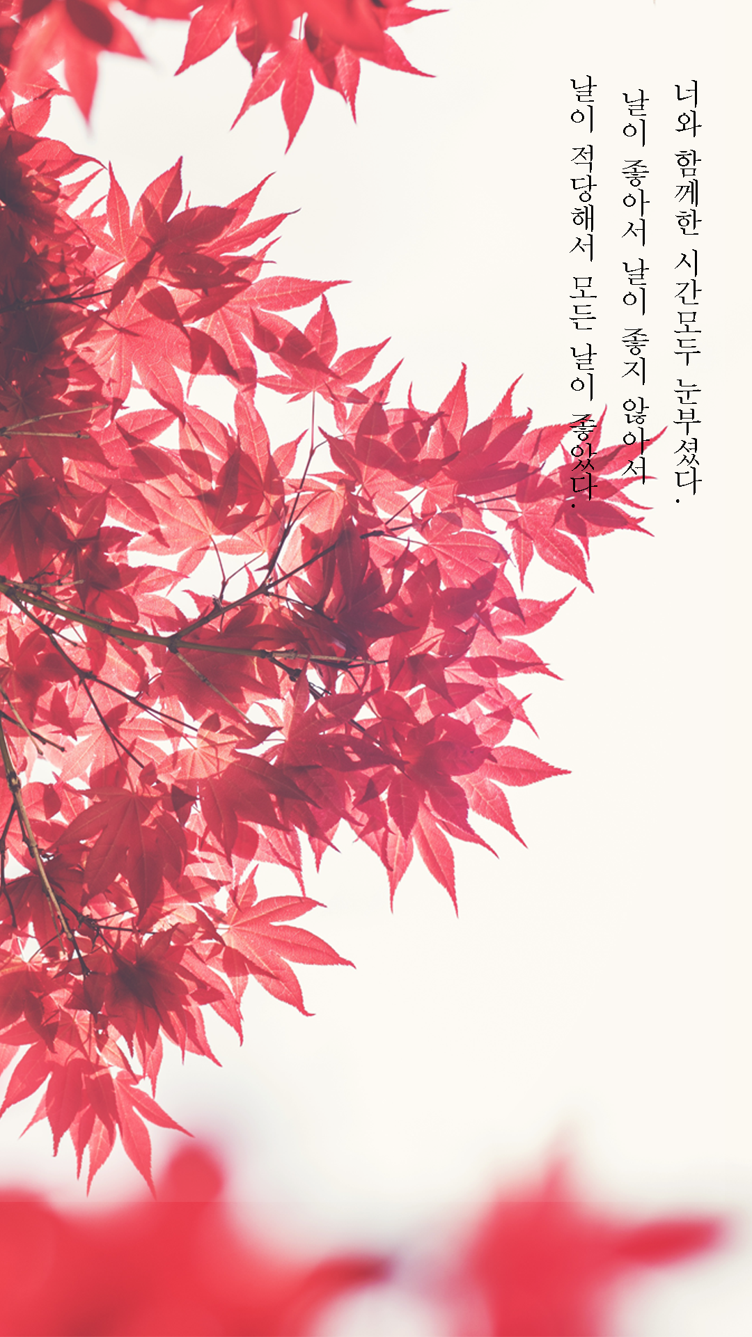 도깨비) 030 놑북,컴퓨터 배경/휴대폰 배경 가져왔어요 2탄 (전부 왔다!)030 | 인스티즈