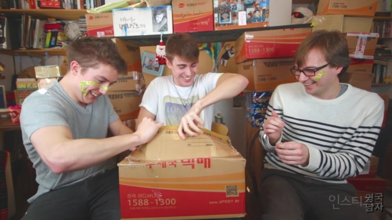 택배로 고양이 받은 영국남자 | 인스티즈