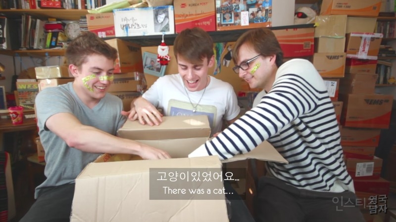 택배로 고양이 받은 영국남자 | 인스티즈