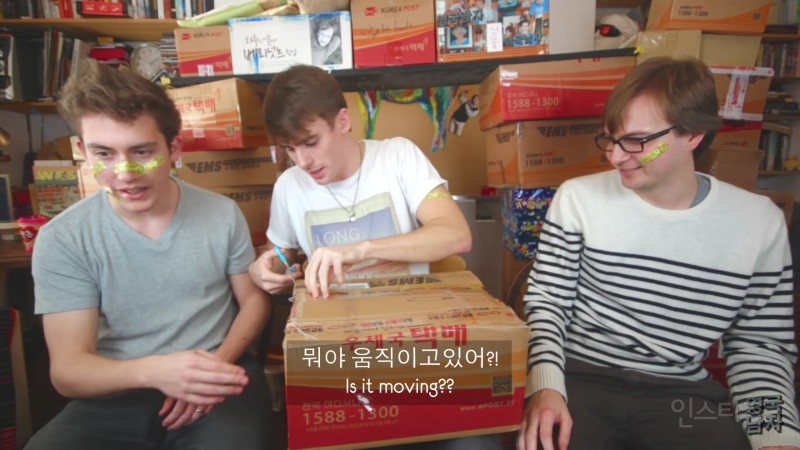 택배로 고양이 받은 영국남자 | 인스티즈