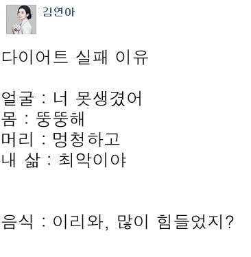 다이어트를 실패하는 이유.jpg | 인스티즈