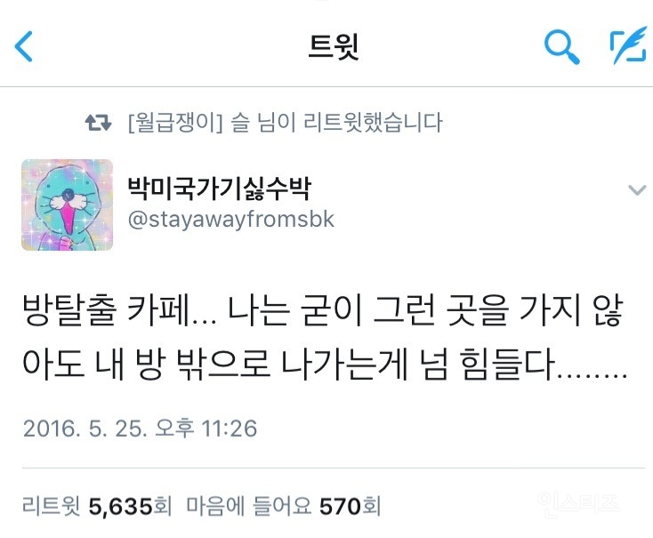 집순이의 공통점.jyp | 인스티즈