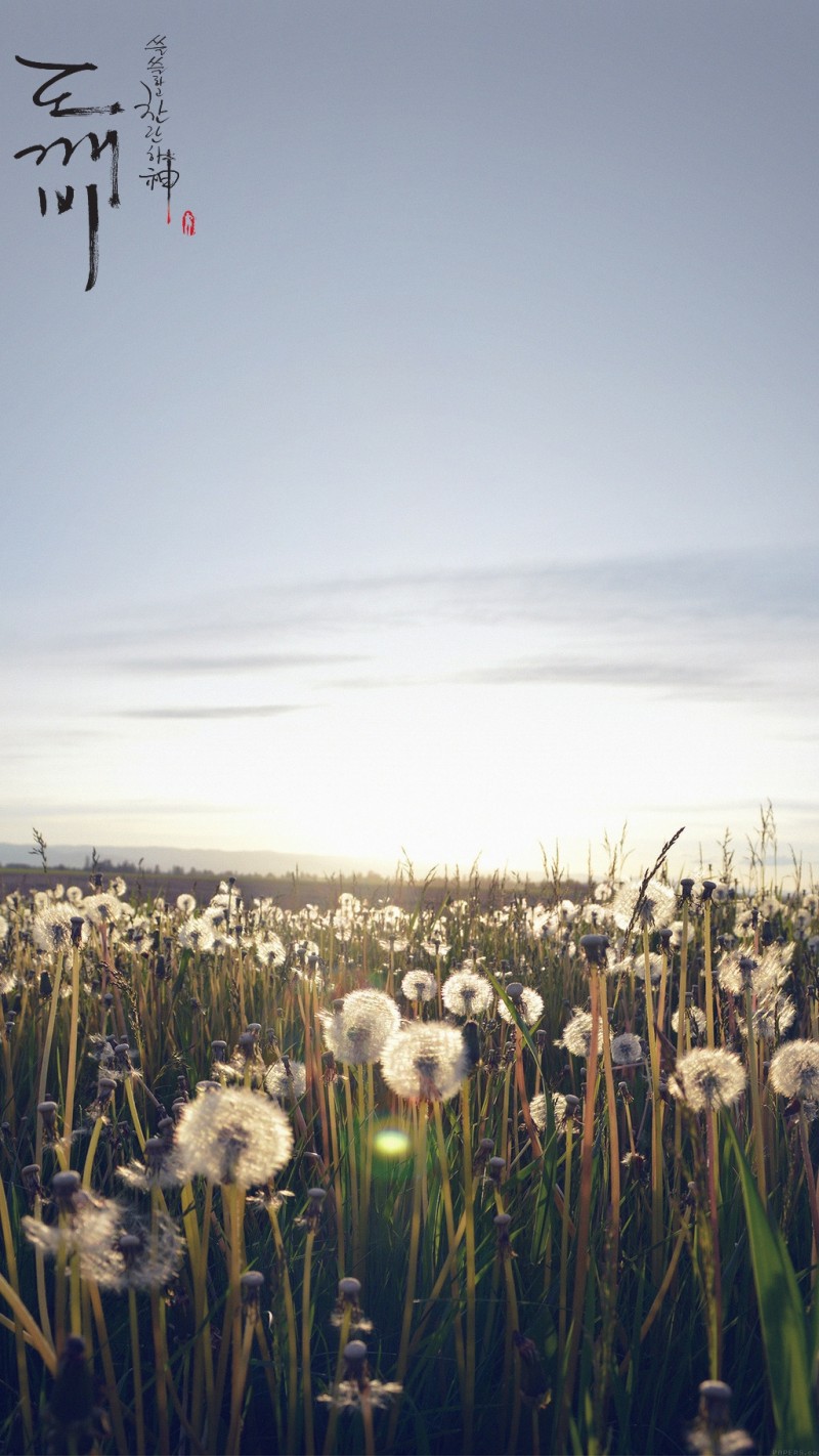 도깨비) 다들 자고 있나..조촐한 도깨비 배경??이미지?? 펑 안할게 천처니 와.... | 인스티즈