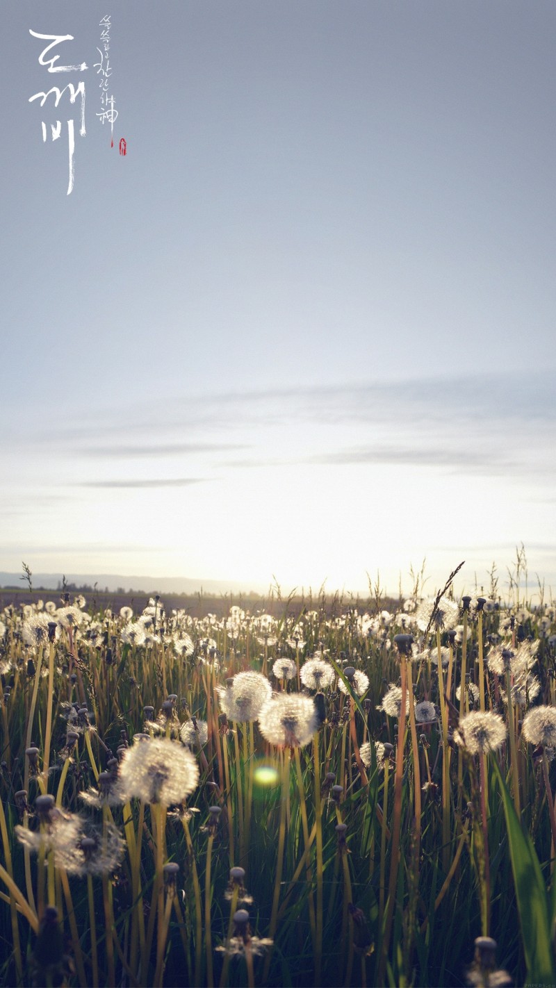 도깨비) 다들 자고 있나..조촐한 도깨비 배경??이미지?? 펑 안할게 천처니 와.... | 인스티즈