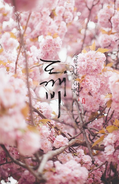 도깨비) 다들 자고 있나..조촐한 도깨비 배경??이미지?? 펑 안할게 천처니 와.... | 인스티즈