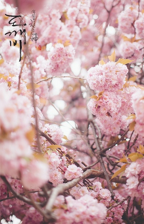 도깨비) 다들 자고 있나..조촐한 도깨비 배경??이미지?? 펑 안할게 천처니 와.... | 인스티즈