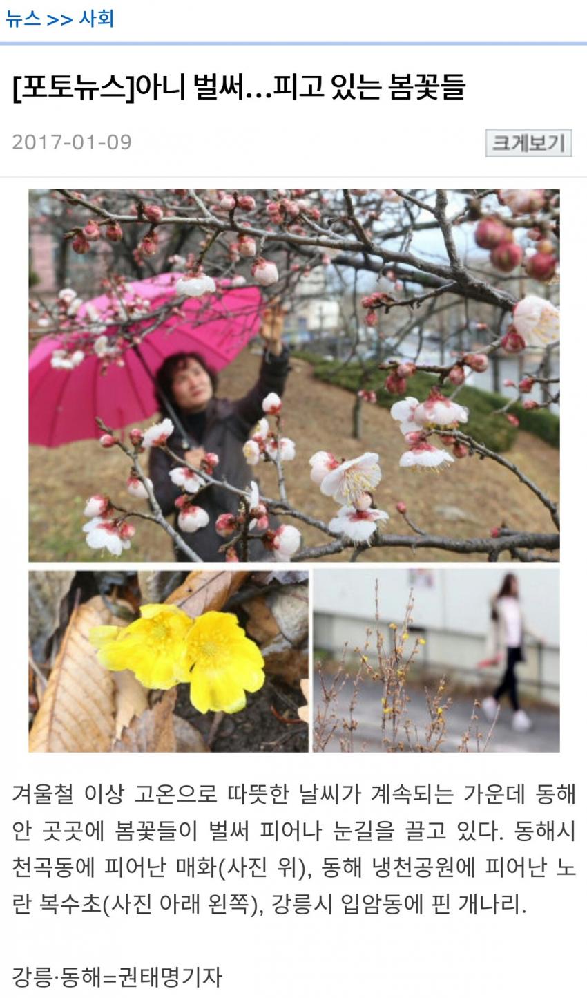 도깨비가 연애하더니... | 인스티즈