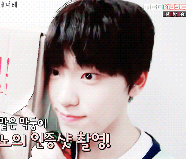 [세븐틴] 비상! 여우 주의보 00 | 인스티즈