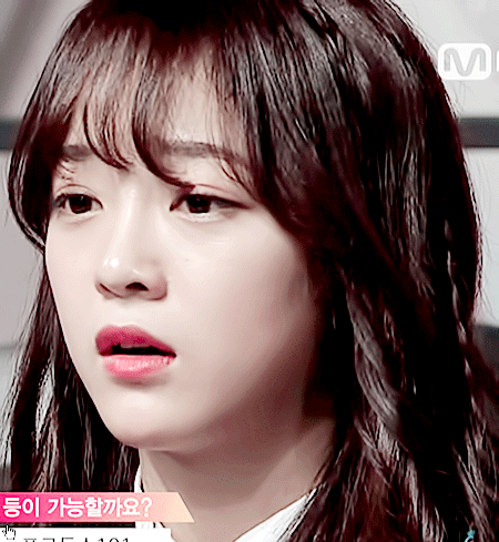 [세븐틴] 비상! 여우 주의보 00 | 인스티즈