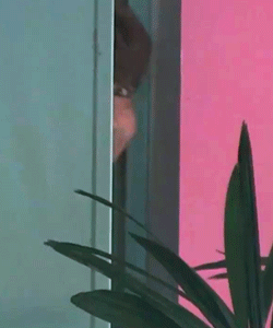 [방탄소년단/전정국] 좋다고 말해 下 | 인스티즈