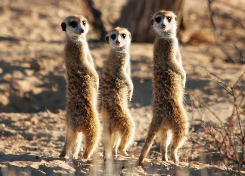 한 가수가 말하는 덕계못의 뜻.jpg | 인스티즈