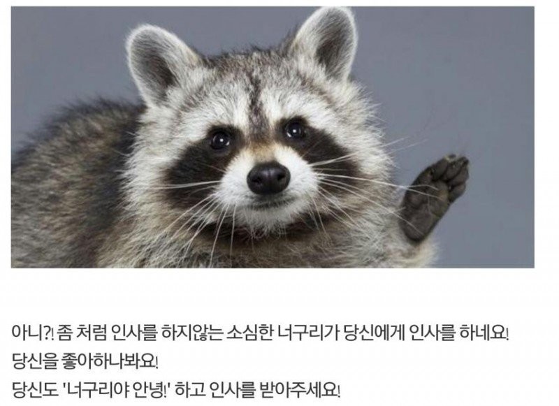 근데 이짤 왜 유행하는고야? | 인스티즈