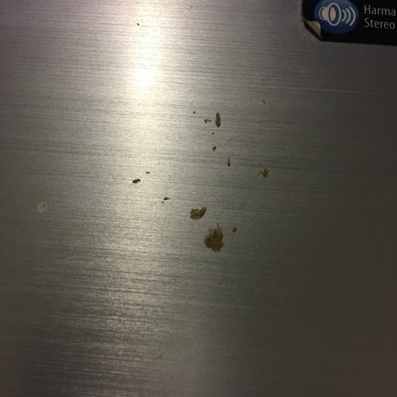 귀에서 소리나서 귀파는데 (ㅎㅇㅈㅇ) | 인스티즈