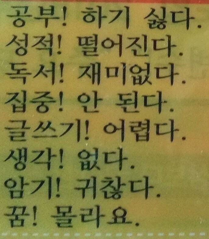 누가 나 빨리 공부하라고 좀 해줘 | 인스티즈