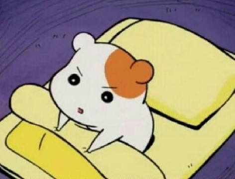 쌍수 이틀 남은 박익인, 인아웃라인 생기기 일보 직전 설렘에 잠을 못 이뤄... | 인스티즈