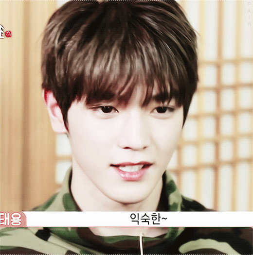 [NCT/태용] 꼬질이 포메라니안 이태용 X 귀여운 것에 사족을 못 쓰는 너심 01 | 인스티즈