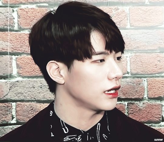 요즘 내가 품은 댕댕이 신인 남돌 | 인스티즈