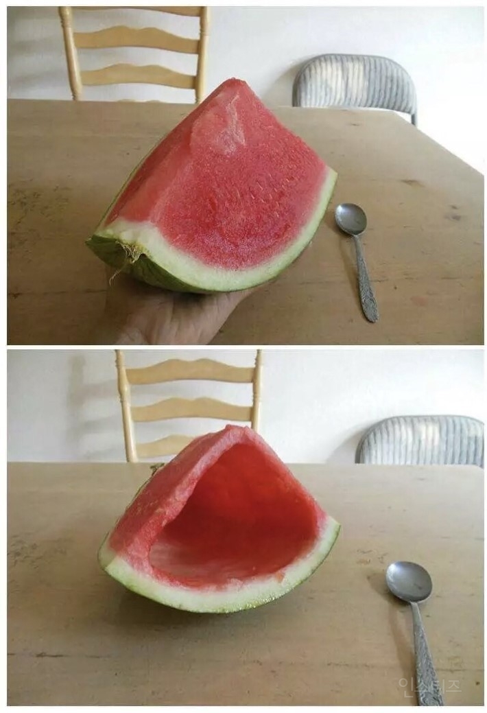 진정한 형제 자매란 이런것! | 인스티즈