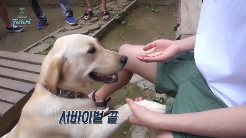 정말 알다가도 모르겠다는 한 아이돌의 똘끼 수준.jpg | 인스티즈