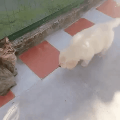 유아인 페북에 댓글 단 군필자 남성.jpg | 인스티즈