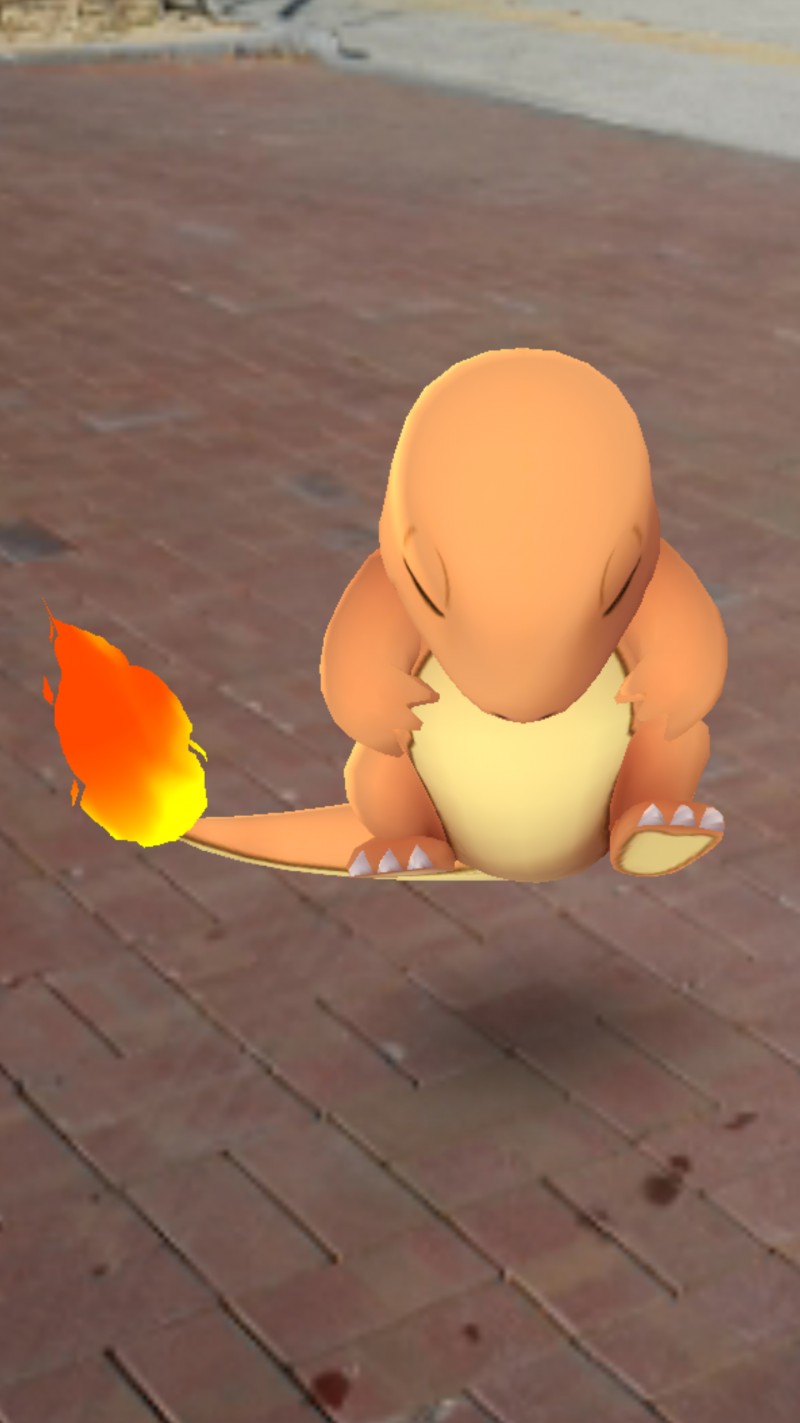 파이리 찍었는데 세상 ㅠㅠㅠ | 인스티즈