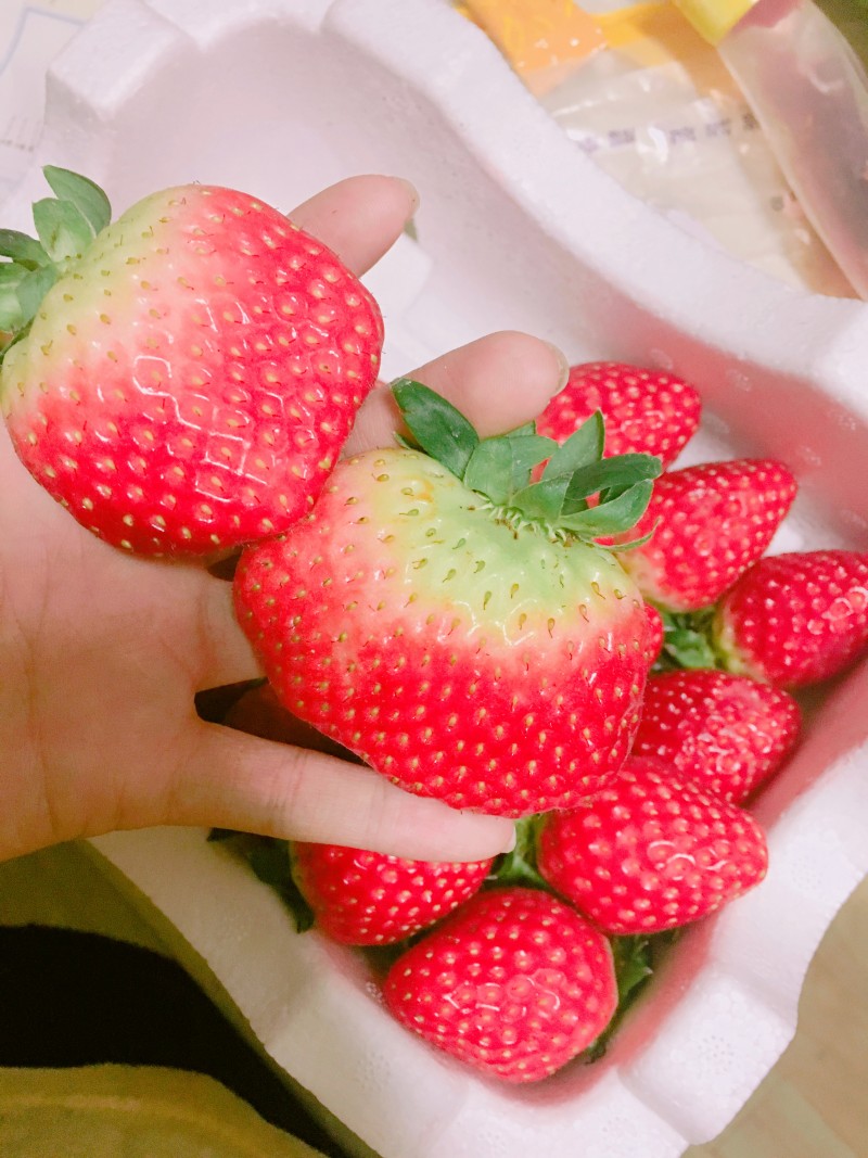 딸기조아하는익인? | 인스티즈