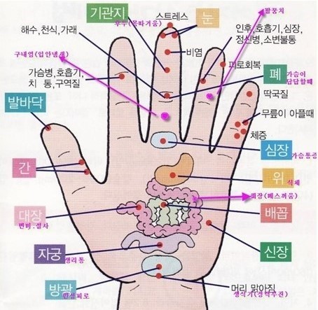 비염으로 고생하는 익인들!! 콧물멈추는방법 공유할게!! | 인스티즈
