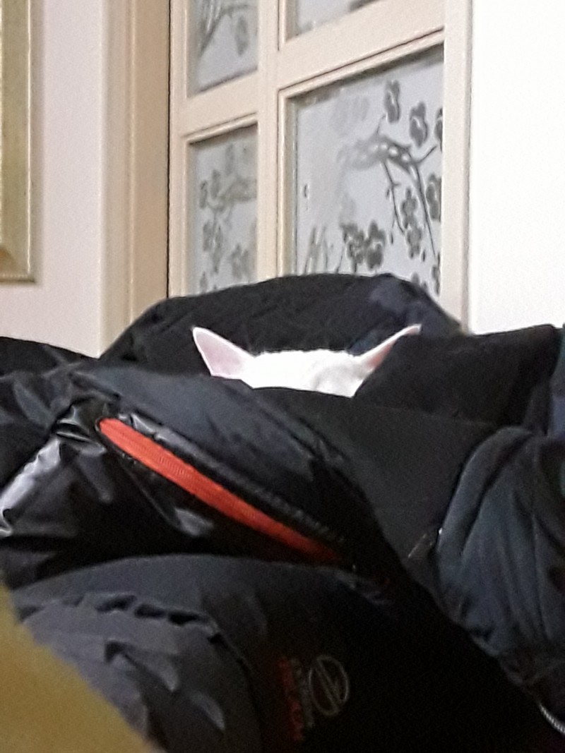 헉 이거봐 | 인스티즈