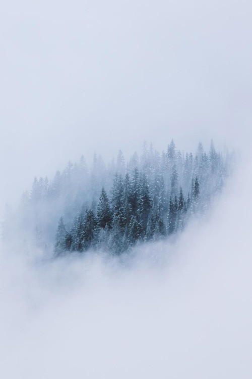 피키에서 줍줍한 배경들 진짜 예쁘다 | 인스티즈