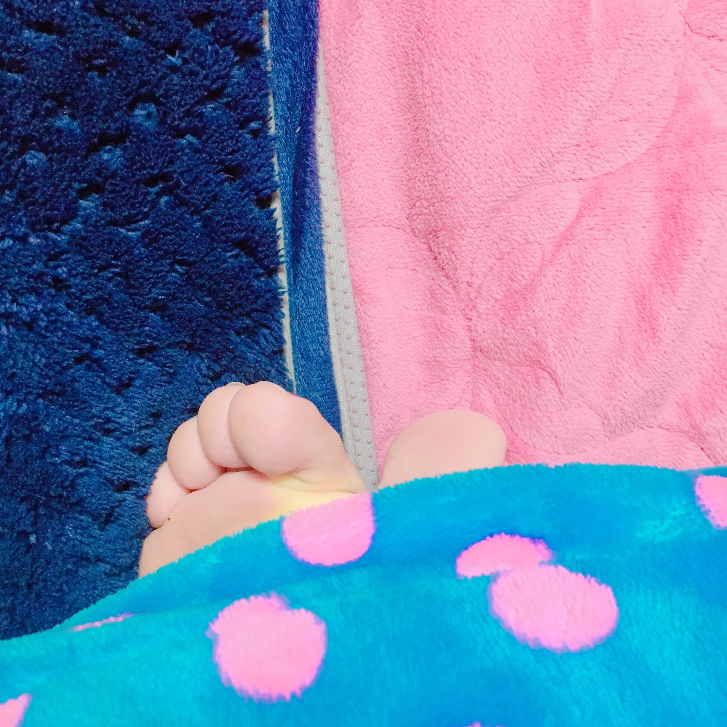 발가락이 귀엽길래 찍어보았다 40 | 인스티즈