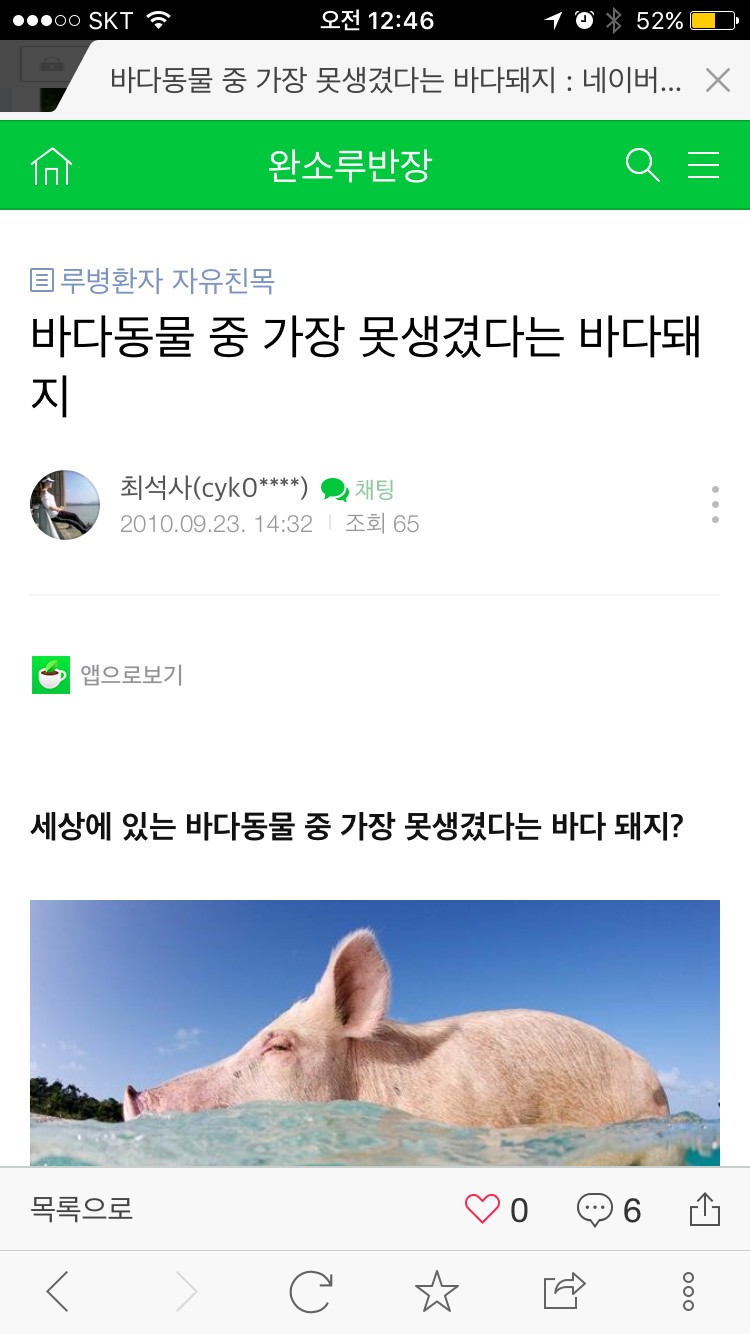 바다돼지 알아? (ㅎㅇㅈㅇ) | 인스티즈