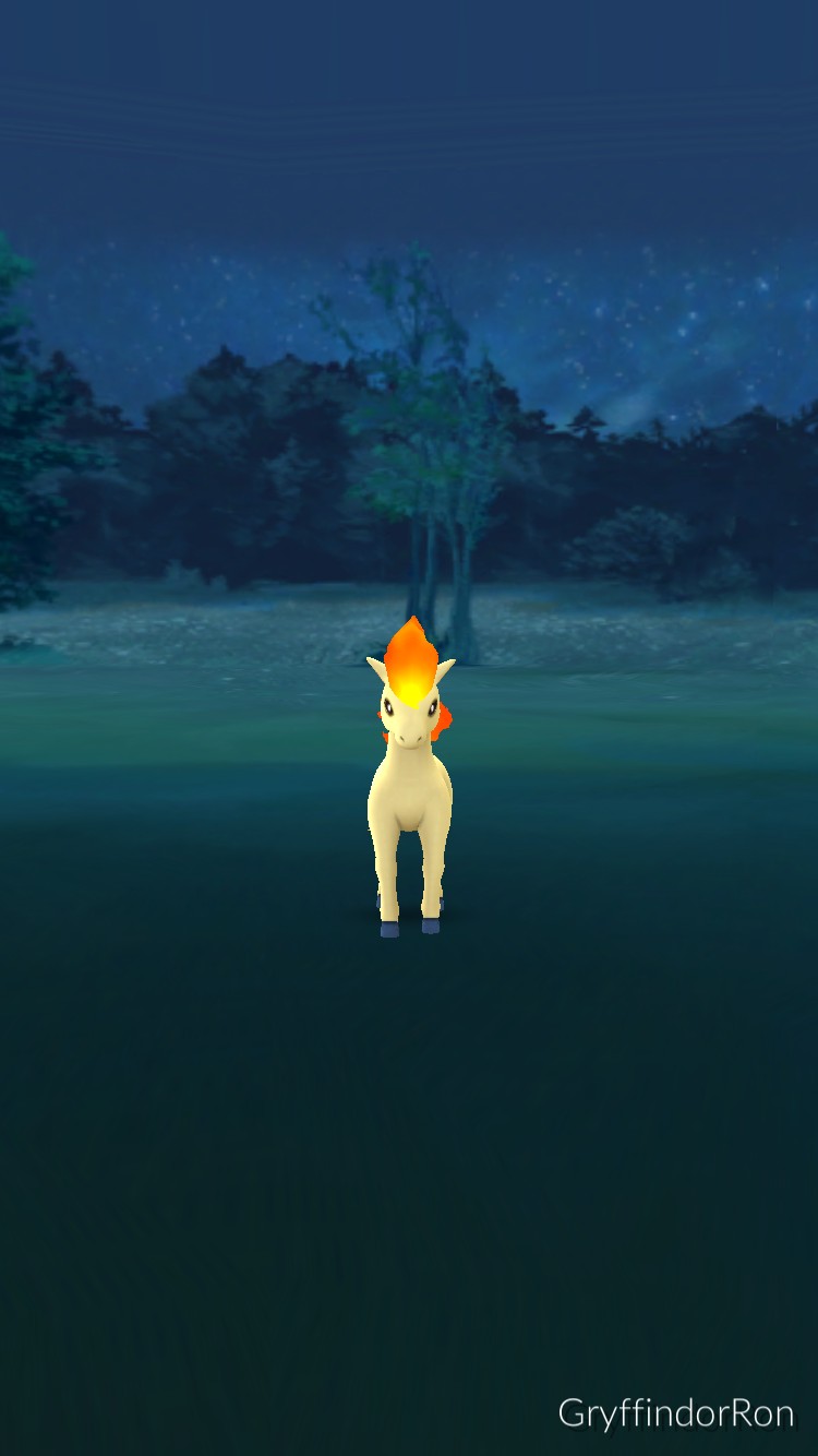 볼 없어서 못 잡은 포켓몬 4040 | 인스티즈