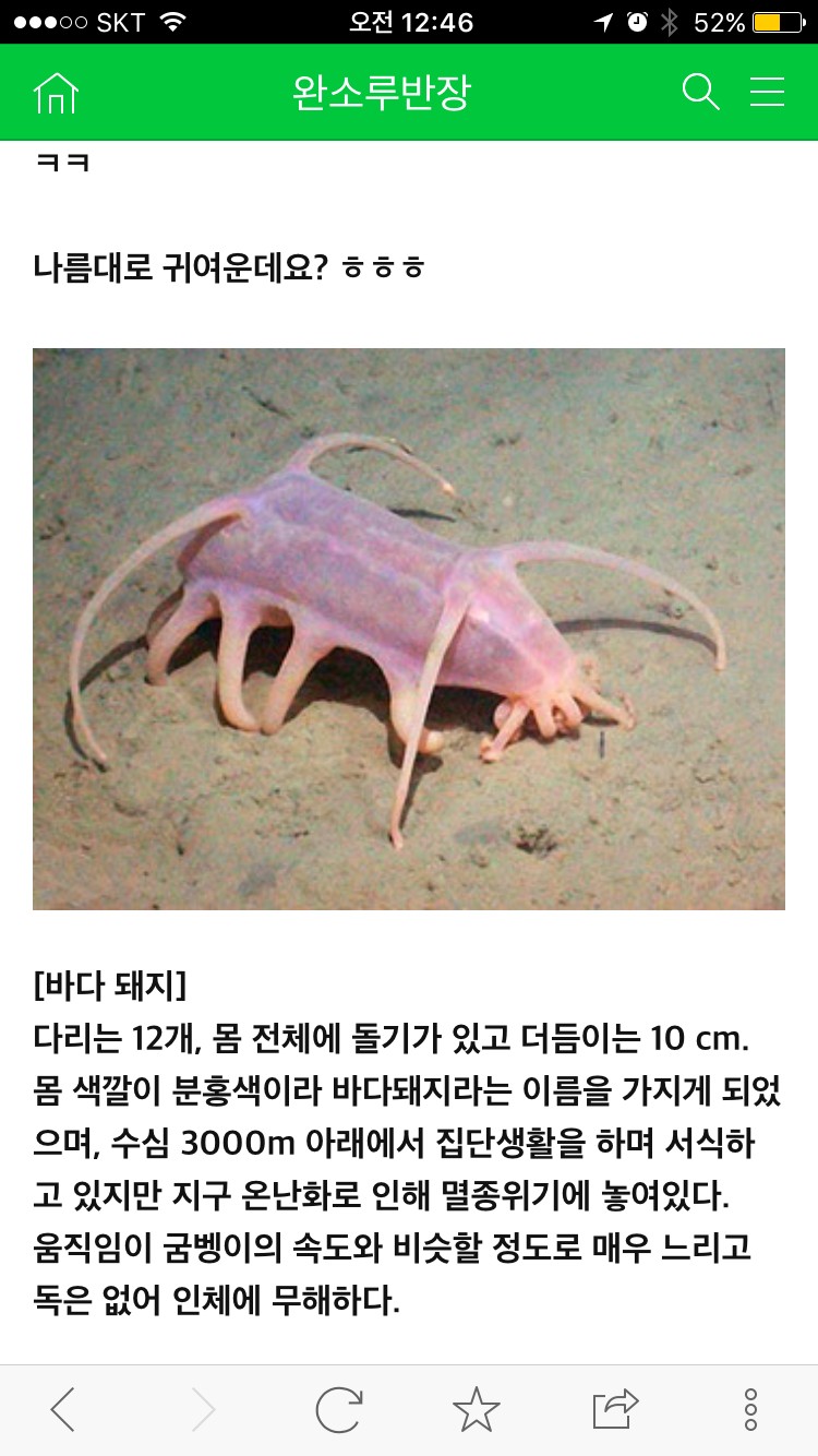 바다돼지 알아? (ㅎㅇㅈㅇ) | 인스티즈