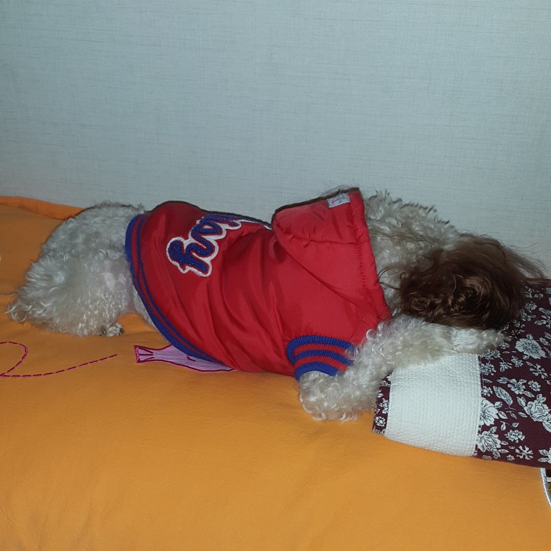 애기야 너가 이렇게 자면 나는... | 인스티즈