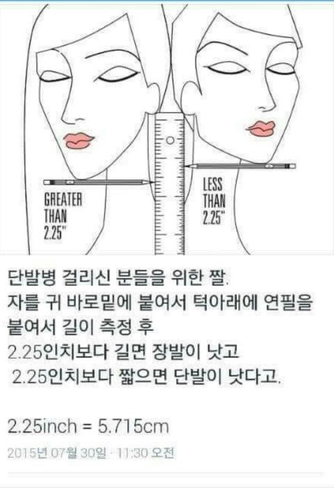 그 얼굴길이별 단발사진 맞는거야?(사진있엉) | 인스티즈