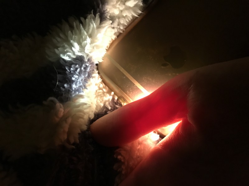 너네 이거 해봤냐 이렇게 하면 손에 있는 핏줄 다 보임 (혐오주의) | 인스티즈