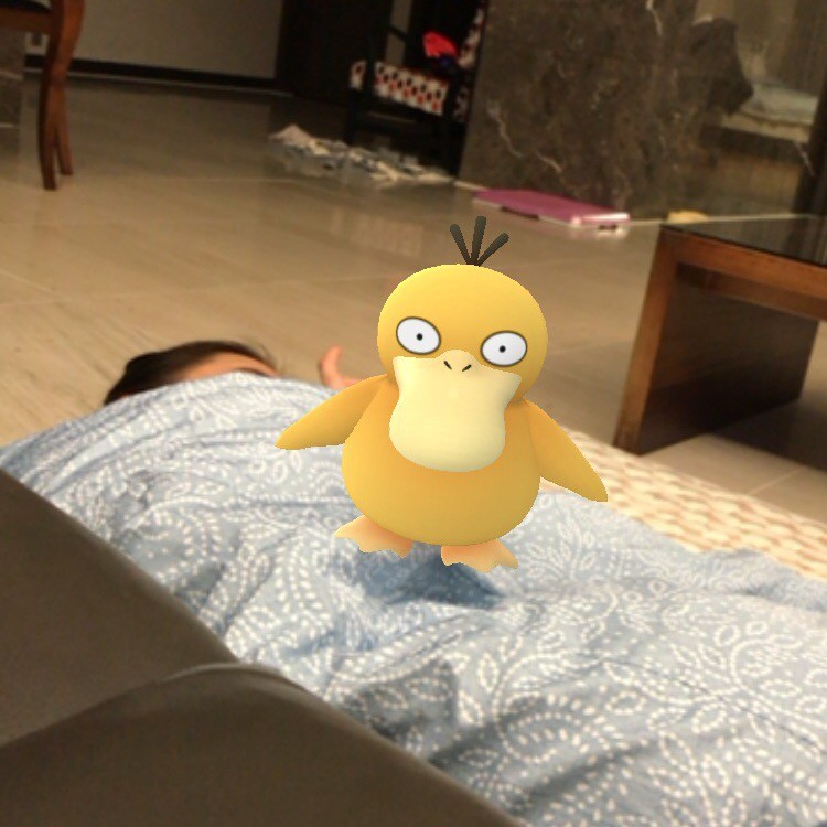 집에서 고라파덕 잡으려했더니 ㅋㅋㅋㅋㅋㅋㅋㅋㅋ | 인스티즈