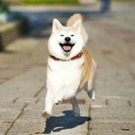 [방탄소년단] 덕후인 내가 방탄밤 막내피디가 된다면? 썰 EP | 인스티즈