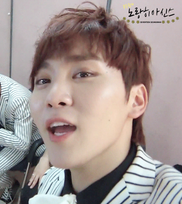 [세븐틴/홍일점] 도른자 남사친들 X 도른자 여사친 너봉썰 07 | 인스티즈