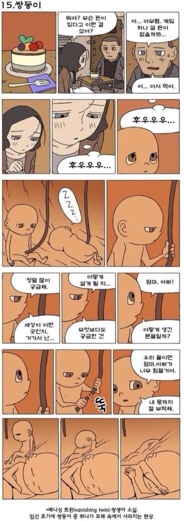 쌍둥이 | 인스티즈