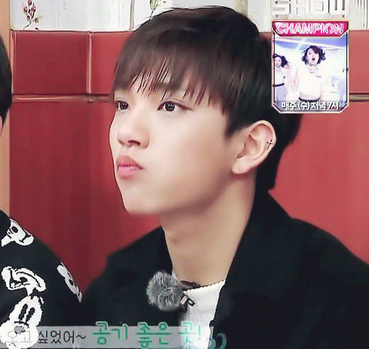 [세븐틴/권순영] 반인반수 닭=대환장파티 08 | 인스티즈