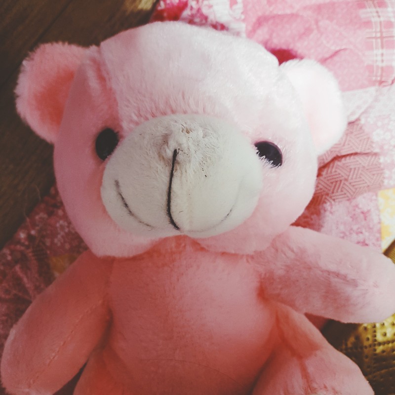 우리 언니 집에는 유독 코가 없는 인형이 많다 | 인스티즈