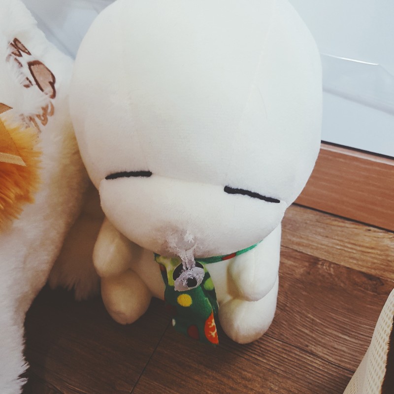 우리 언니 집에는 유독 코가 없는 인형이 많다 | 인스티즈