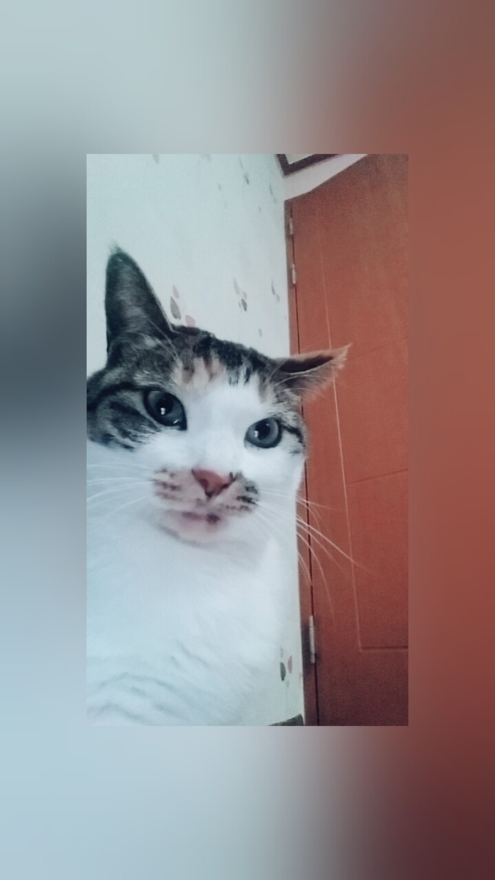 이거 셀카 같지 않아? | 인스티즈