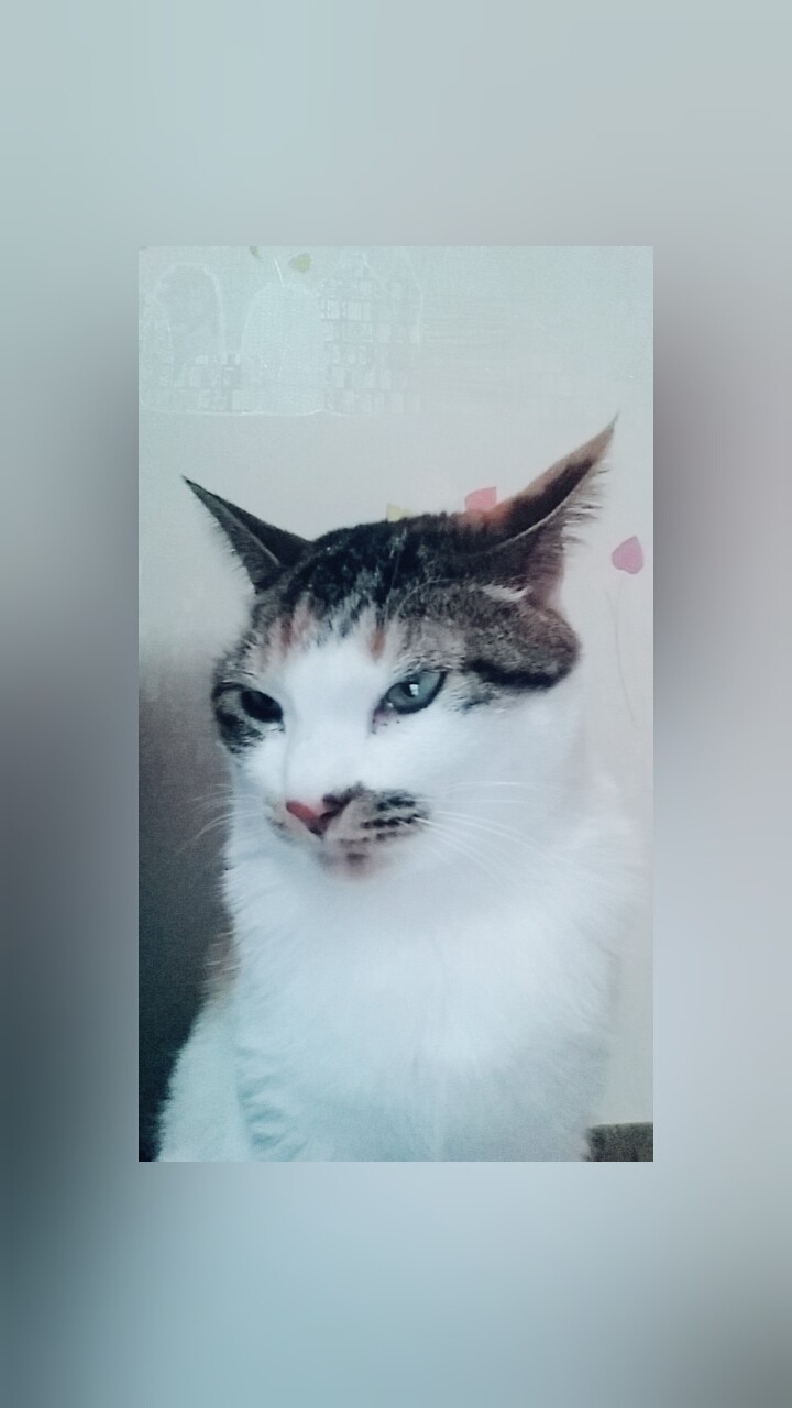 이거 셀카 같지 않아? | 인스티즈